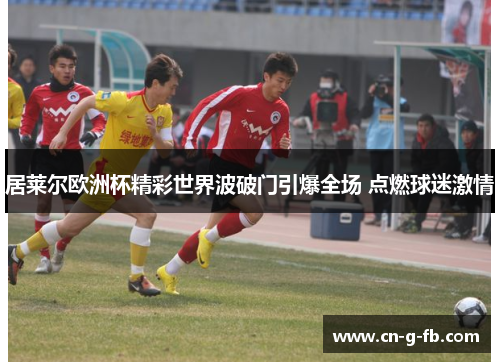 居莱尔欧洲杯精彩世界波破门引爆全场 点燃球迷激情