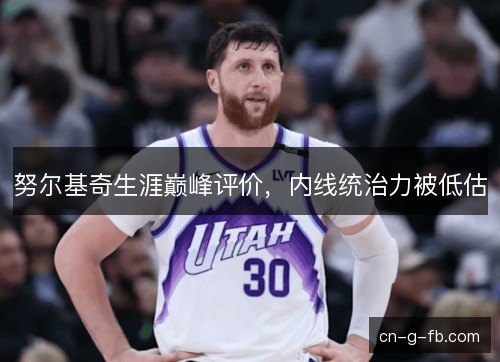 努尔基奇生涯巅峰评价，内线统治力被低估